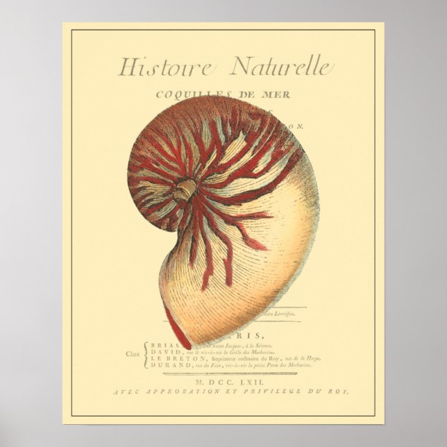 Poster Coque conique rouge vintage (Devant)