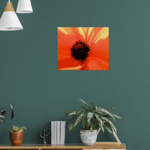 Poster Coquelicot orange - Personnalisé - Douce