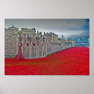 Poster Coquelicots de la Tour de Londres Coquelicot Rouge
