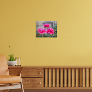 Poster Coquelicots Méditerranéens Rose Vibrant