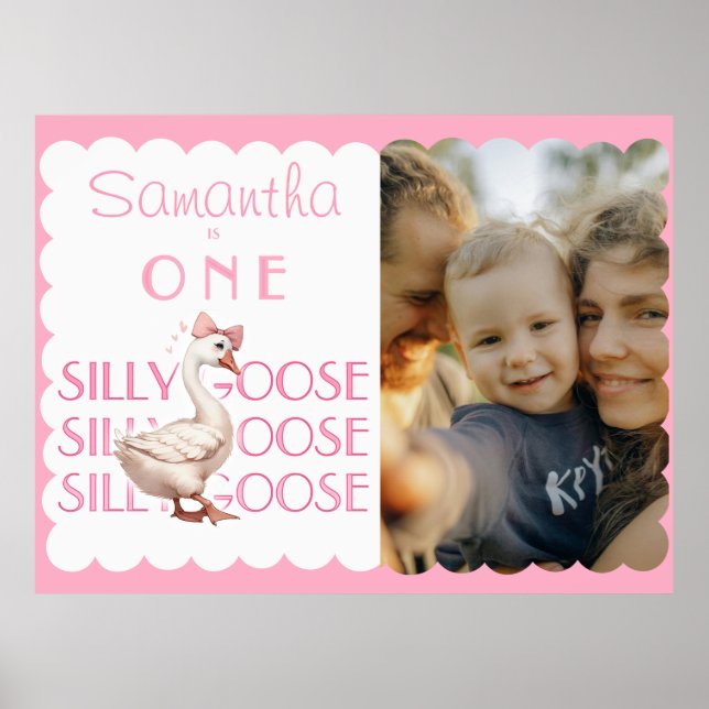 Poster Coquette One Silly Goose Girl 1er anniversaire Bie (Devant)