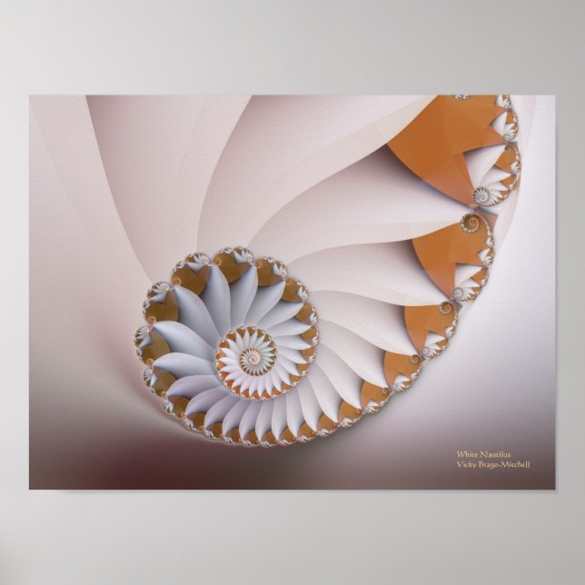 Poster Coquillage Abstrait blanc Nautilus fin fractal (Devant)