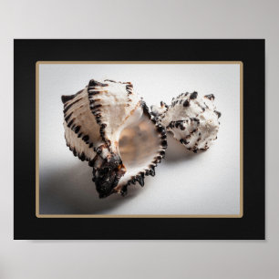 Poster Coquillage noir et blanc Tropical Printable Art