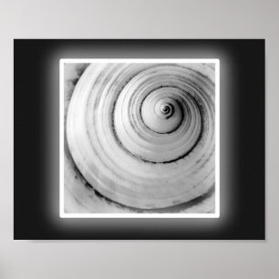 Poster Coquillage noir et blanc Tropical Printable Art