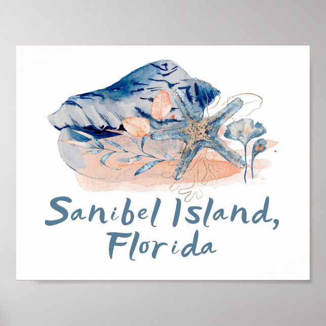 Poster Coquillages de l'île de Sanibel (Devant)