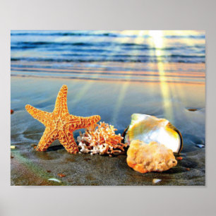 Poster Coquillages marins et étoiles de mer sur la plage