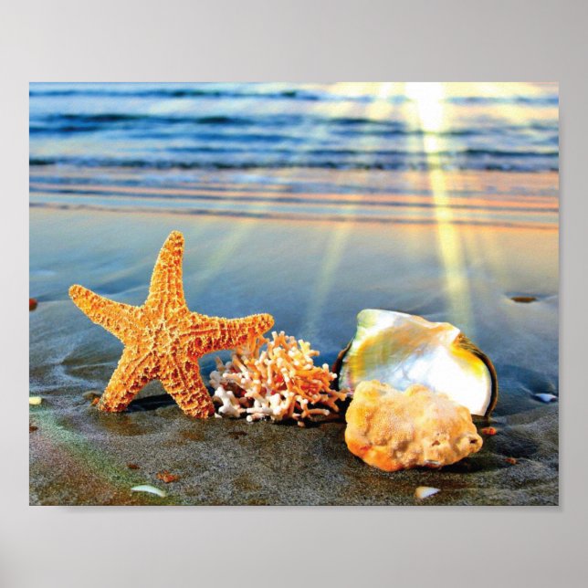 Poster Coquillages marins et étoiles de mer sur la plage (Devant)
