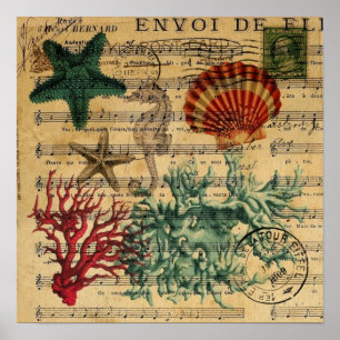Poster coquillages tropicaux côtiers