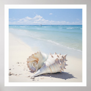 Poster Coquille de conc sur l'affiche de la plage