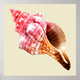 Poster Coquille de conque de sable rose