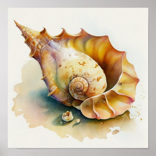 Poster Coquille de conque Haliotis en aquarelle (Devant)