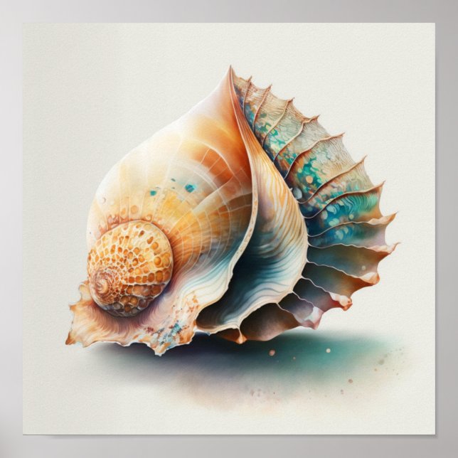 Poster Coquille de conque Queen en aquarelle (Devant)
