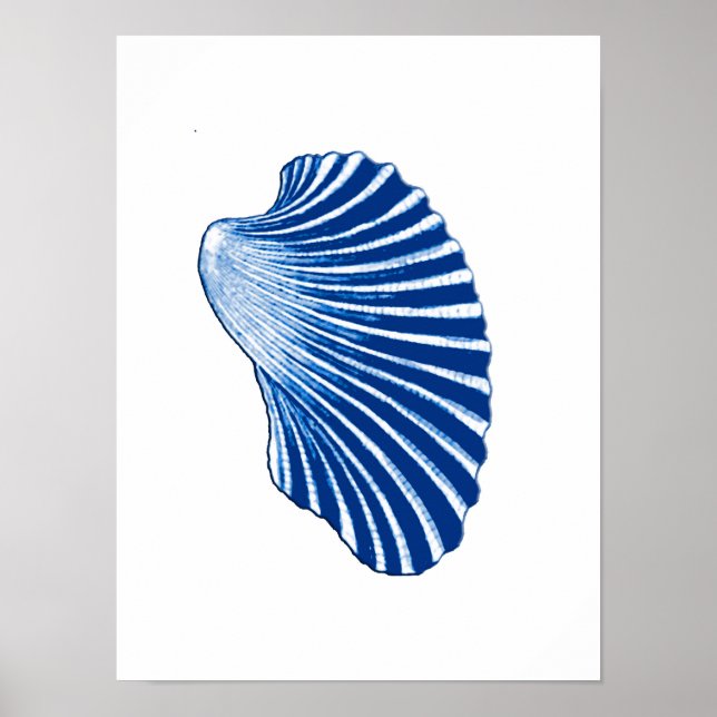 Poster Coquille de St Jacques, bleu d'Indigo et blanc (Devant)