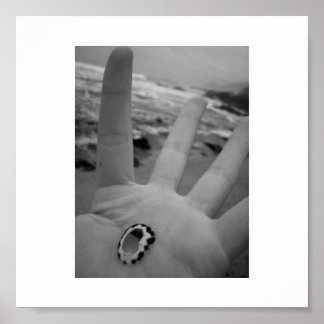 Poster Coquille en main