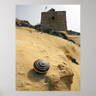 Poster Coquille et tour, Gozo