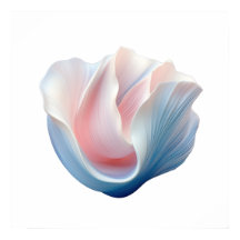 Coquille rose, bleue et blanche Abstraite
