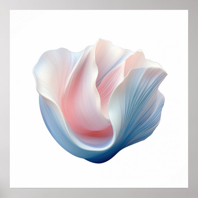 Poster Coquille rose, bleue et blanche Abstraite (Devant)