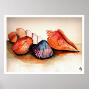 Poster Coquilles d'été