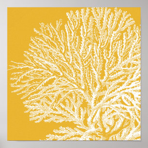 Poster Corail jaune et blanc