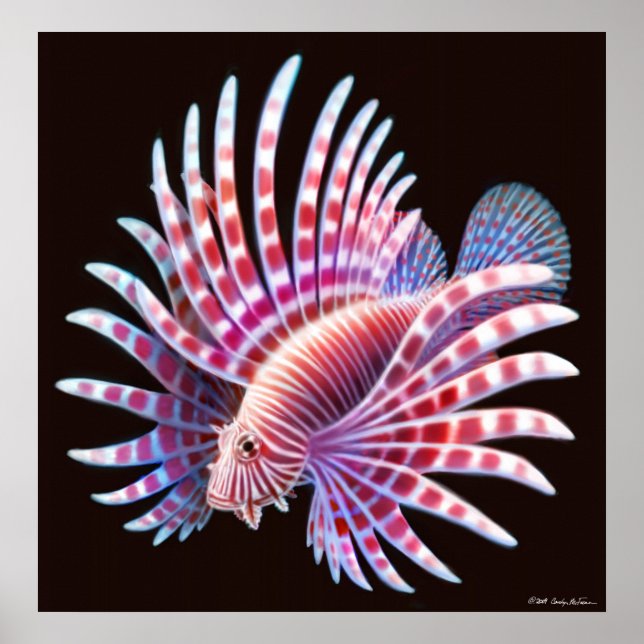 Poster Coral Reef Lionfish (Devant)