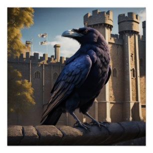 Poster Corbeau