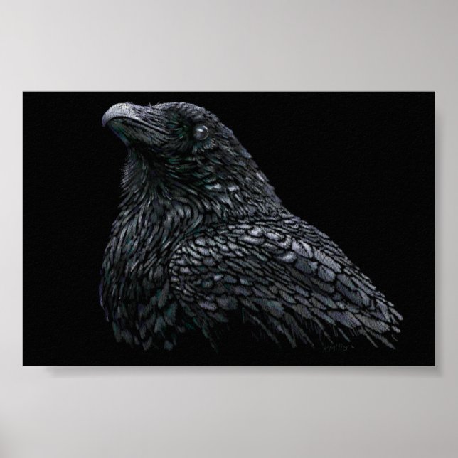 Poster Corbeau (Devant)