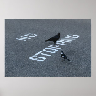 Poster Corbeau et pie
