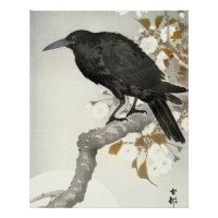 Corbeau Raven Koson Oiseau japonais