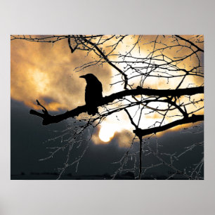 Poster Corbeau sur l'arbre