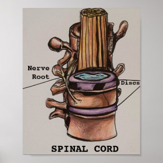 Poster Cordon épinal