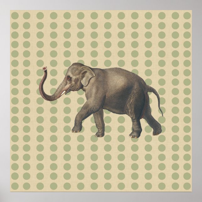 Poster Coriander Spice Moods Doses avec éléphant (Devant)