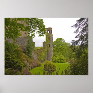 Poster Cork, Irlande. Le célèbre château de Blarney 2