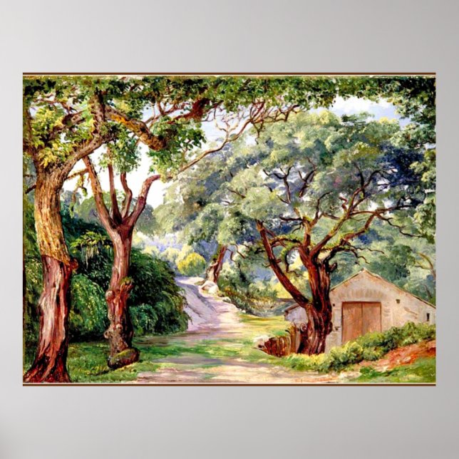 Poster Cork Trees à Cintra près de Lisbonne, (Devant)