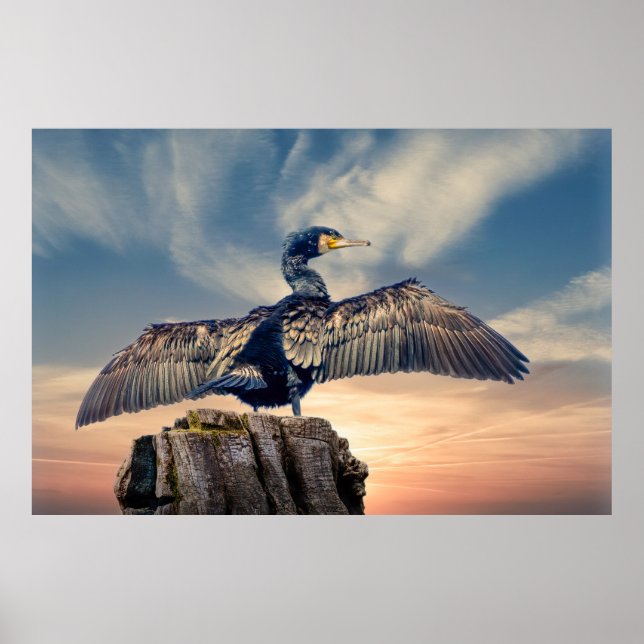 Poster Cormorant (Devant)