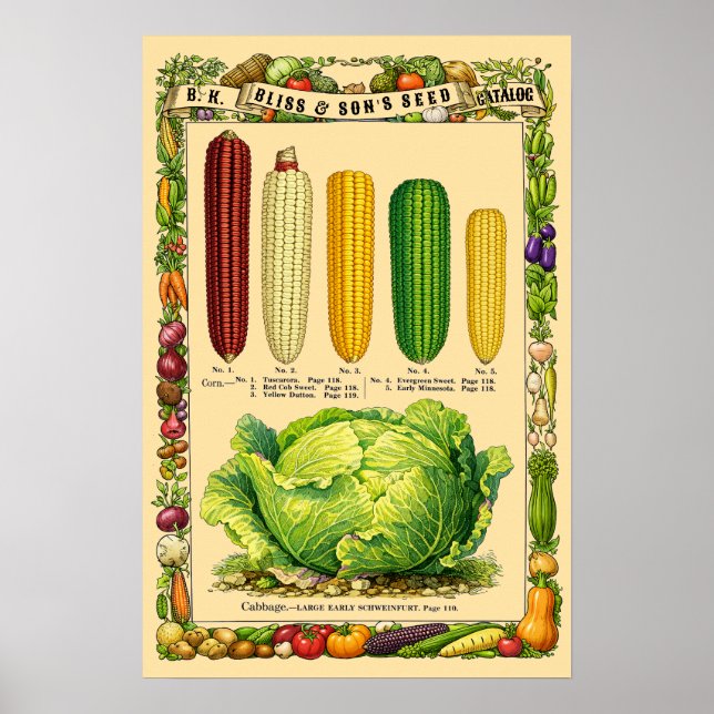 Poster Corn Retro Victorian Era Botanical Art (Devant)