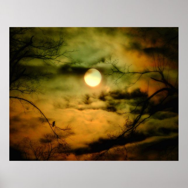 Poster Corneille Et Ciel Omineux (Devant)