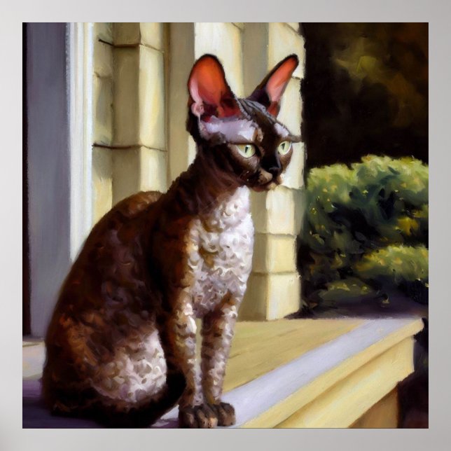 Poster Cornish Rex Cat (Devant)