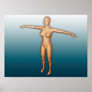 Poster Corps féminin avec des bras prolongés