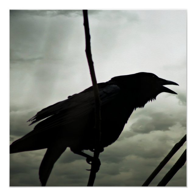 Poster Corw/Raven (Devant)