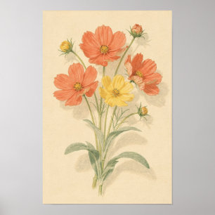 Poster Cosmos Floral Corail et Jaune Beurre