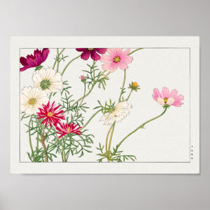 Poster Cosmos par Tanigami Konan