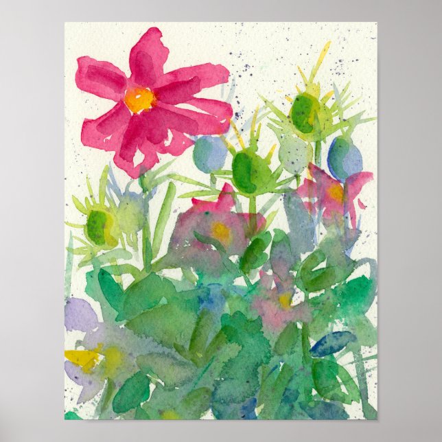 Poster Cosmos rose Nigella Aquarelle Peinture Fleur (Devant)