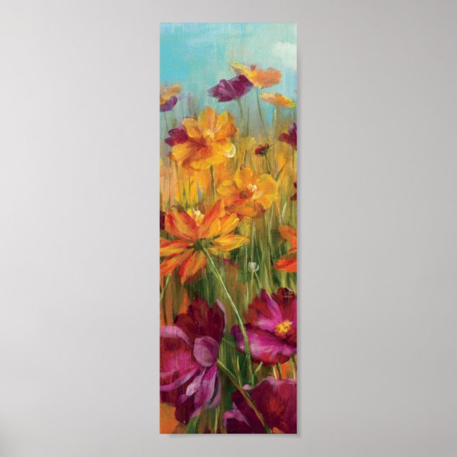 Poster Cosmos sur le terrain (Devant)