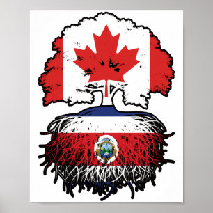 Poster Costa Rica Costa Rica Canada Canada Racines d'arbr