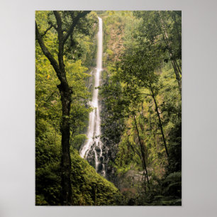 Poster Costa Rica, île Cocos, cascade de Wafer Bay