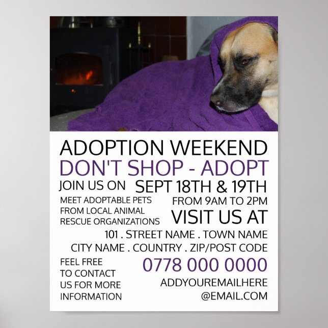 Poster Cosy Dog, Pet Adoption Evénement Publicité (Devant)