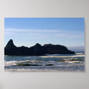Poster Côte à Seal Rock OR