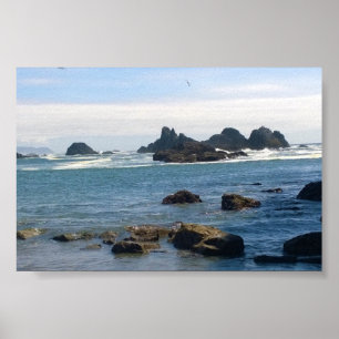 Poster Côte à Seal Rock OR