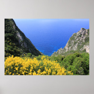 Poster Côte colorée