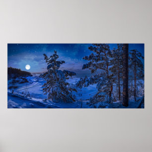 Poster Côte de la mer Baltique neigeuse avec sapin la nui